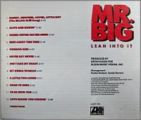 Mr.Big （ミスター・ビッグ） / リーン・イントゥ・イット