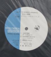 萩田光雄/しばたはつみ / 化石の荒野