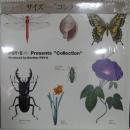 コレクション　