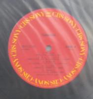 サイズ / コレクション　