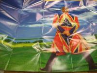 デヴィッド・ボウイ / アースリング