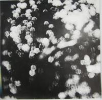 ピンク・フロイド             / 雲の影