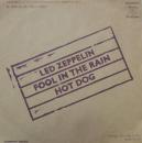 フール・イン・ザ・レイン