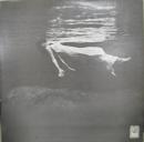 アンダーカレント