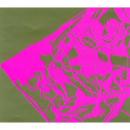 一青想 Special Edition (期間限定出荷盤 ライブDVD付)