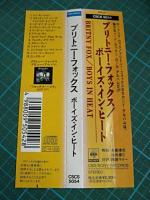 ブリトニー・フォックス / ボーイズ・イン・ヒート