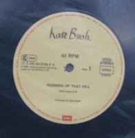 ケイト・ブッシュ / 神秘の丘