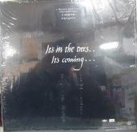 ケイト・ブッシュ / 愛のかたち