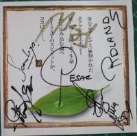 シサイ / ベスト・オブ～