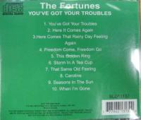 フォーチュンズ / You've Got Your Troubles