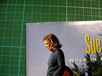 スー・フォーリー / ウォーク・イン・ザ・サン