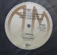 プロコル・ハルム / ソルティ・ドッグ