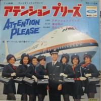 ザ・バーズ / 砂川啓介 / アテンション・プリーズ