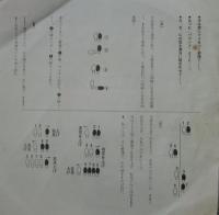 タイガース / シーサイド・バウンド