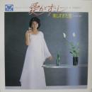 愛がすこし　/　美しすぎた恋