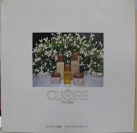 沢田亜矢子/稲見博 / 愛がすこし　/　美しすぎた恋