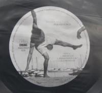 ダニエル・マウニッキ / パーシステンス