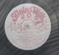 レニー・カールソン / サーチ・フォー・ザ・フロア