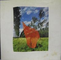 ピンク・フロイド             / 炎　あなたがここにいてほしい　