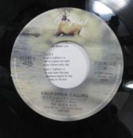 ビーチ・ボーイズ / カリフォルニア・コーリング